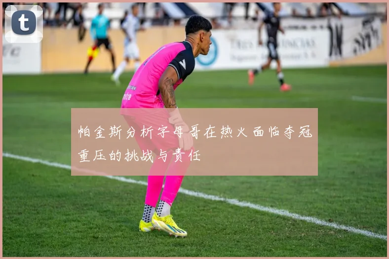 帕金斯分析字母哥在热火面临夺冠重压的挑战与责任