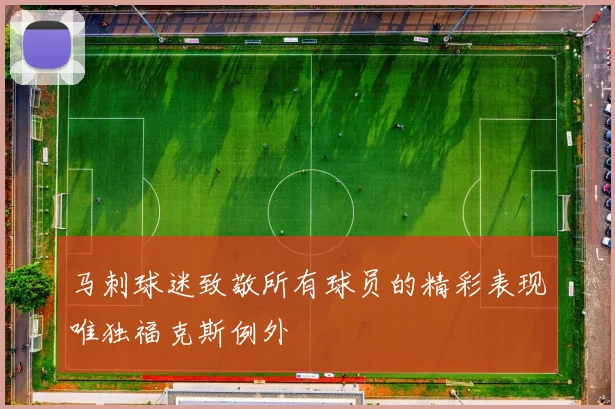 马刺球迷致敬所有球员的精彩表现唯独福克斯例外
